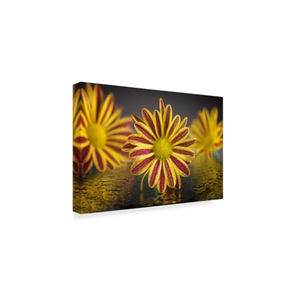 Gordon Semmens 'Red And Yellow Floral' Canvas Art,22x32